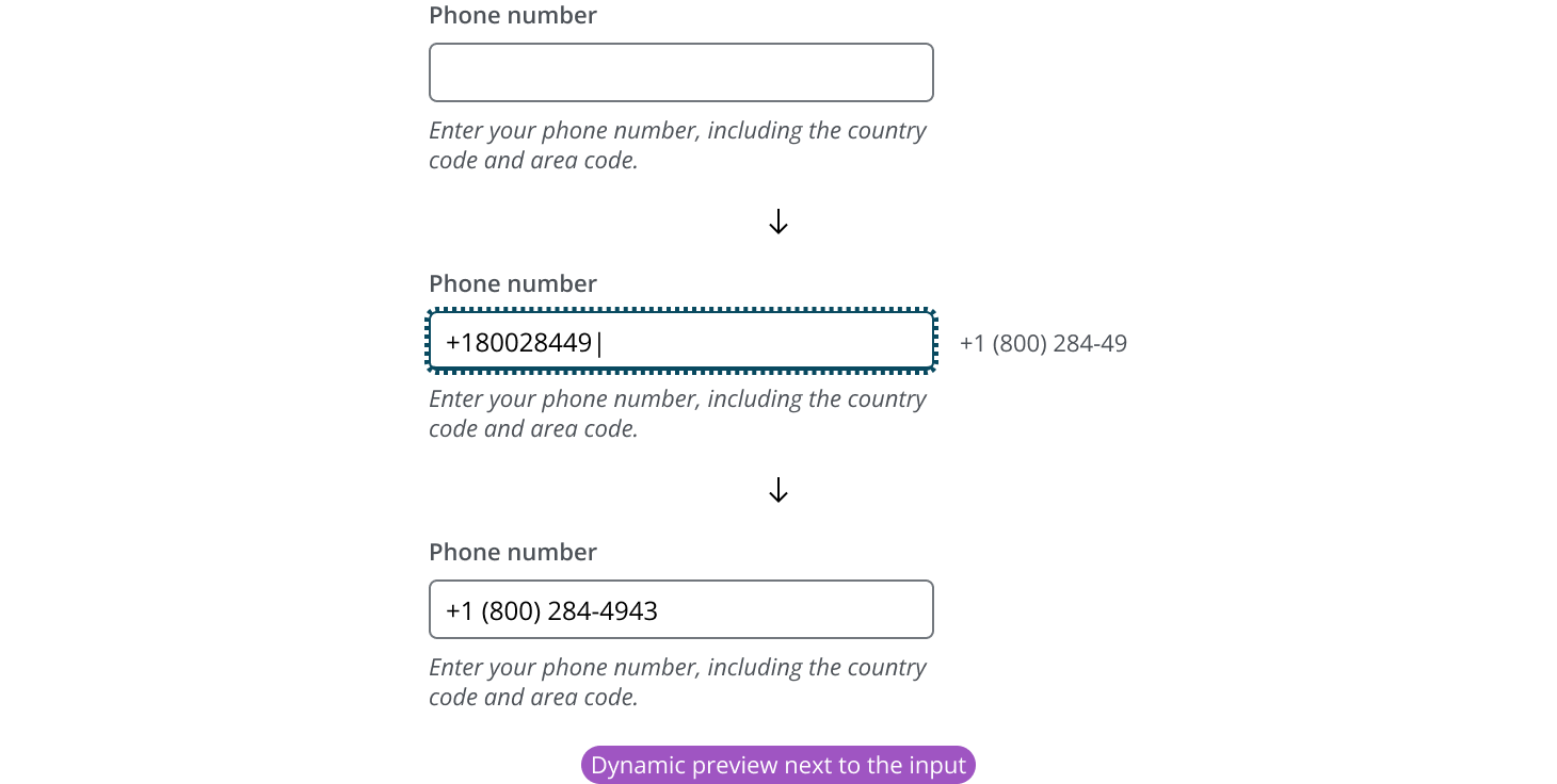 Input dynamic preview example of the formatted input pattern