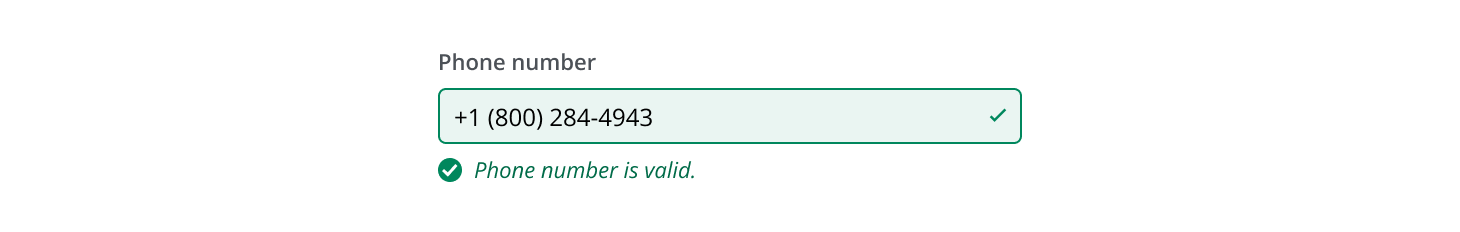Success state of the formatted input pattern